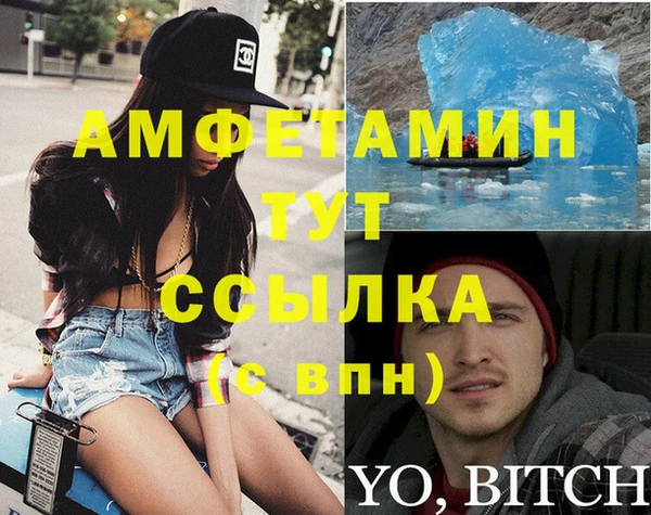 шишки Белокуриха